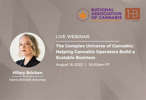 Nacat Webinar The Advanced Universe Of Hashish With Hilary Bricken In