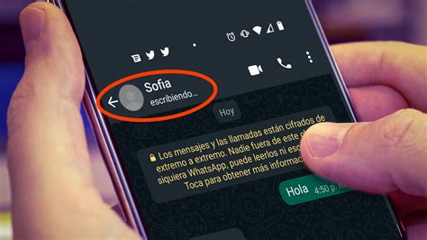 Revisa aquí cómo ocultar el escribiendo en WhatsApp