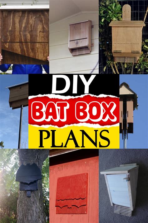 16 DIY Bat Box Plans You Can Build Today - DIYnCrafty