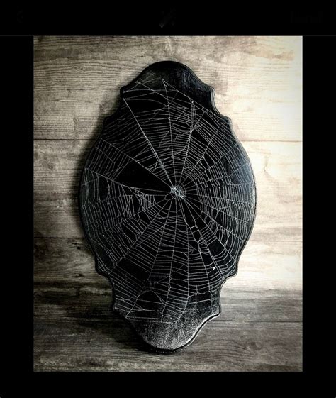 Real Spider Web Preserved Spider Web Spider Web Arachnid Genuine