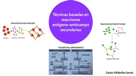 T Cnicas Basadas En Reacciones Ant Geno Anticuerpos Secundarias By