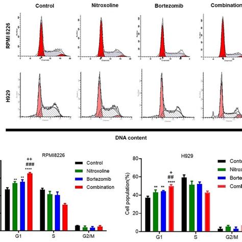 Effects Of Nitroxoline And Bortezomib On The Apoptosis Of H And