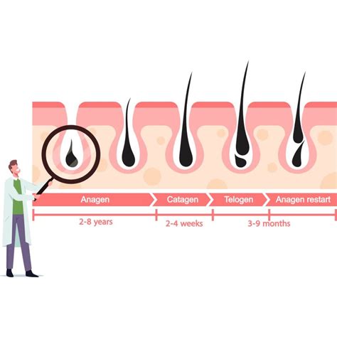 Understanding Hair Follicles: The Key to Healthy Hair Growth