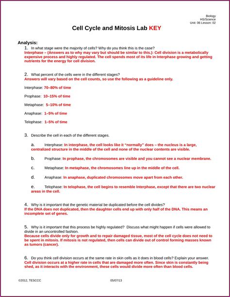 The Cell Cycle And Cancer Worksheet Printable Computer Tools