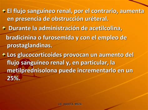 Lesion Renal Aguda Ppt Ppt Descarga Gratuita