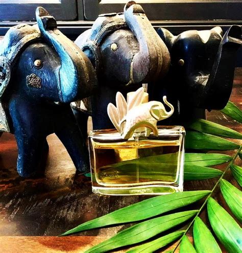 Kenzo Jungle Lelephant Kenzo Perfume A Fragrance For Women 1996