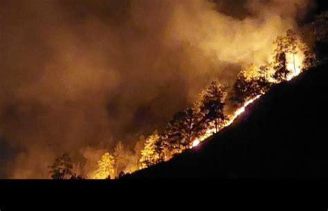 Hutan Pinus Di Tepi Danau Lut Tawar Terbakar Pemadaman Terkendala