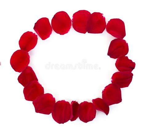 Beautiful Circle Of Red Rose Petals Isolated On White Stock Photo