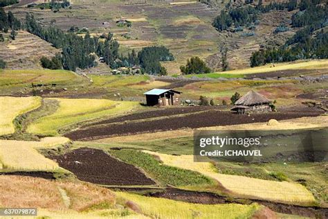 391 Wollo Ethiopia Stock Photos High Res Pictures And Images Getty
