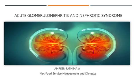 Acute Glomerulonephritis And Nephrotic Syndromepptx