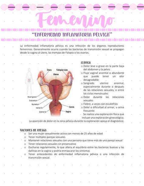 Patologías del aparato genital femenino Zoe Mandujano Potrero uDocz