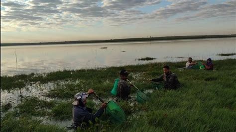 pescaria os amigos Tucunaré levando a vara do pescador YouTube