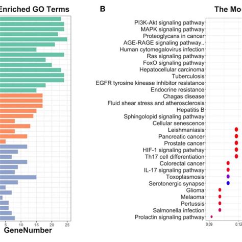 A Go Enrichment Each Bar Indicates A Cc Mf Bp Term Color Means
