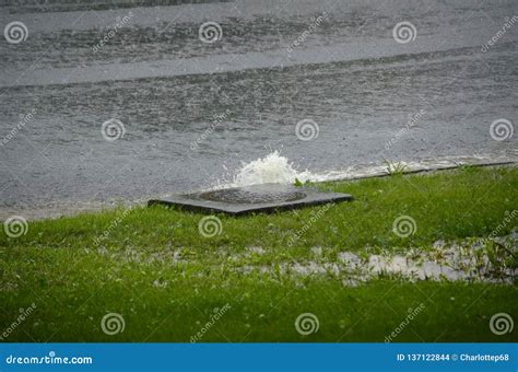 Flooding drain stock photo. Image of storm, neighborhood - 137122844