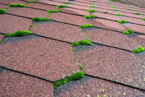 How To Remove Moss From Roof Shingles Perfect Exteriors