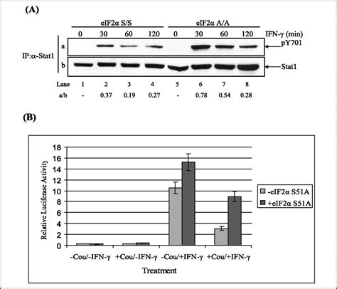 The Catalytic Activity Of The Eukaryotic Initiation Factor 2α Kinase