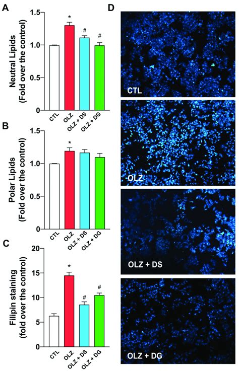 Response Of Dg And Ds Over Lipid Accumulation In Hepg A Cells