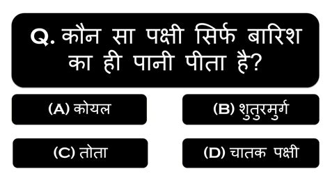 Top 20 Gk Questions And Answers Gk Quiz Gk In Hindi Gk Ke Sawal