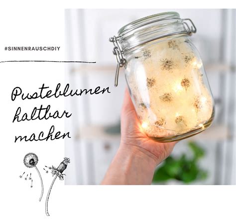 Echte Pusteblumen Mit Einfachem Trick Konservieren Ein Glas Voller