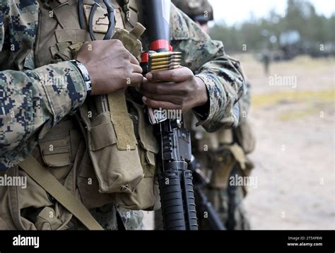 Hanko Finnland November 2023 Mitglieder Der Nyland Brigade Und Des