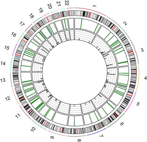 Ideogram Mapping Of Differentially Methylated Dm Cpgs In The