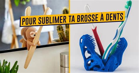 Top Des Meilleurs Porte Brosse Dent Insolite Pour Pimper Ta