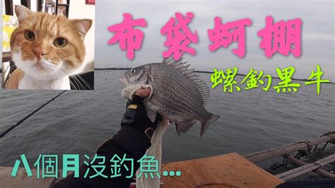 20201130 布袋蚵棚釣魚螺釣黑格黑鯛黑牛南極蝦練餌 P1 Youtube