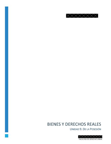 Mart Nez J A U Bdr Bienes Y Derechos Reales Unidad De La Posesi N