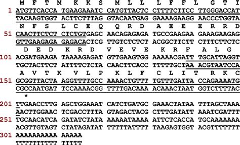 Characterisation Of A Novel Peptide Brevinin H From The Skin