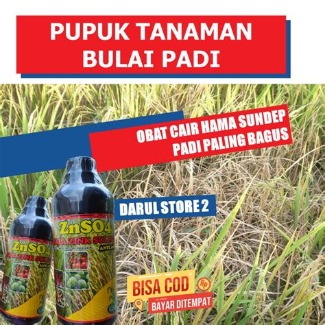 Jual Rekomended Pengendali Penyakit Hama Sundep Padi Znso Ml