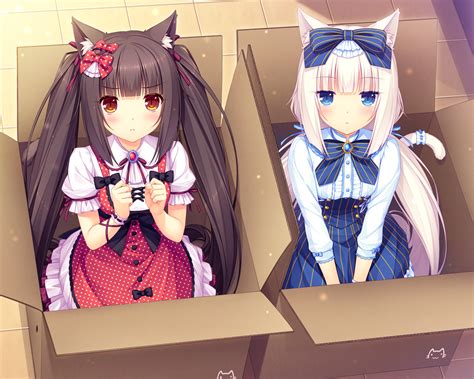 Vanilla Image Gallery Nekopara Wiki Fandom