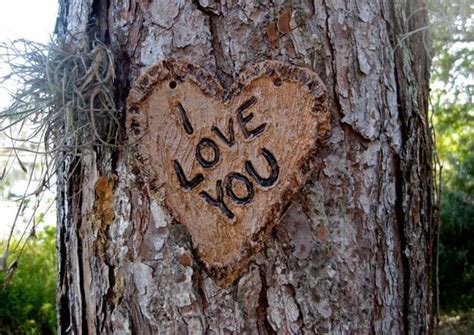 Heart With I Love You Carved Into Tree Pottery By Calicoowls