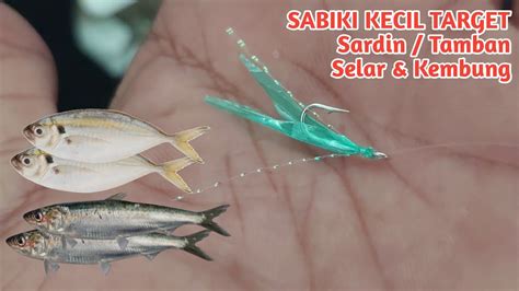 Cara Membuat Sabiki Kecil Target Ikan Selar Sardin Dan Kembung Youtube