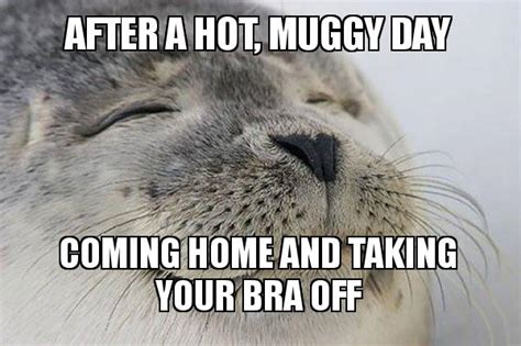 After A Hot Muggy Day Coming Home And Taking Your Bra Off Satisfied Seal Meme Generator