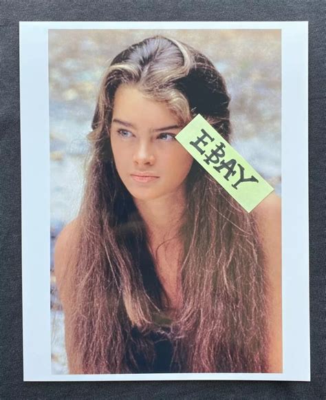 The Blue Lagoon Poster Brooke Shields Christopher Atkins 58 Off