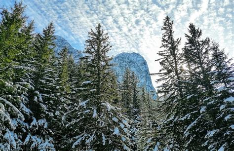 Excursie Munte Refugiul Diana Oxigentour Ro