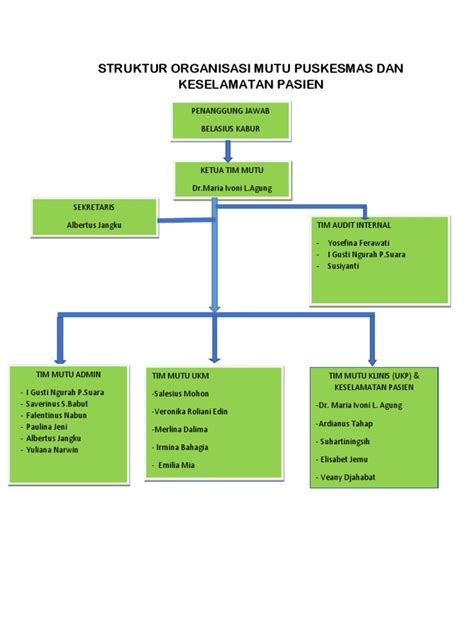 Struktur Organisasi Tim Mutu Dan Audit Puskesmas Pdf