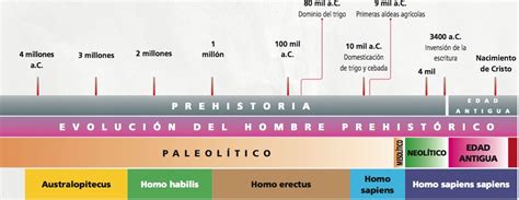 Prehistoria Linea Del Tiempo Prehistoria Eje Cronologico Historia