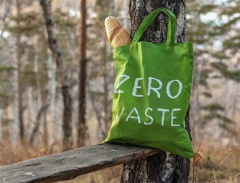 10 Must-Have Eco-Friendly Products for a Sustainable Lifestyle ...