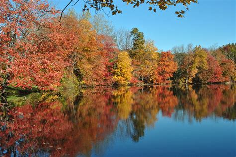 Scenic Fall View Of A Pond Connecticut James Corbett Flickr