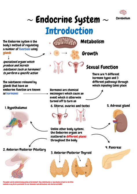 Endocrinology Introduction Endocrine System Introduction The