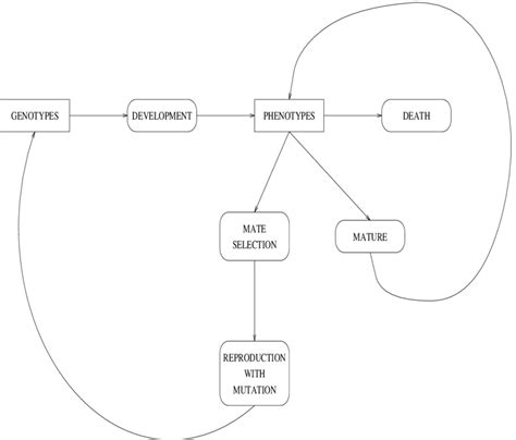 1 The Evolutionary Process Download Scientific Diagram