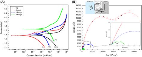 A Potentiodynamic Polarization Curves And B Nyquist Plots Of