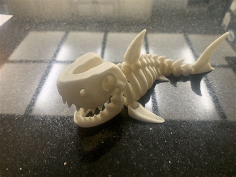 Skeleton Shark - Etsy