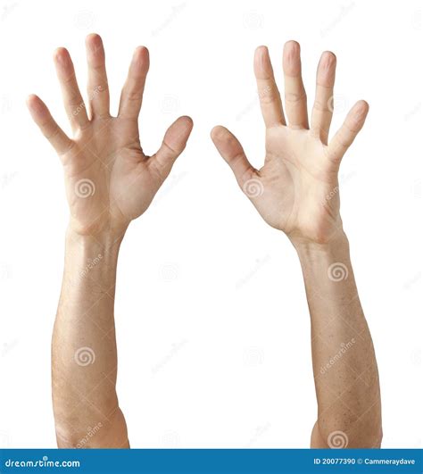 Pair Of Hands Reaching Up Stock Photo Image Of Reaching