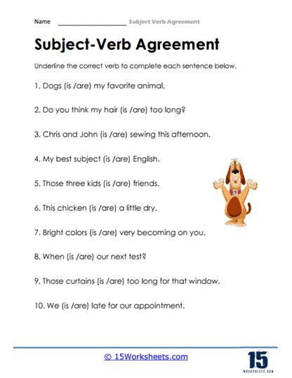 Subject Verb Agreement Worksheets 15