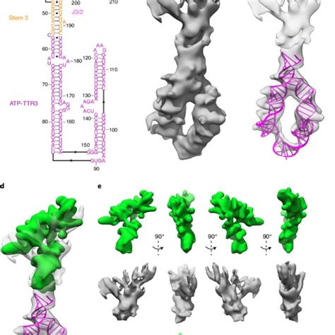 Single Particle Cryo EM Analysis Of The FSE ATP TTR 3 A Workflow Of