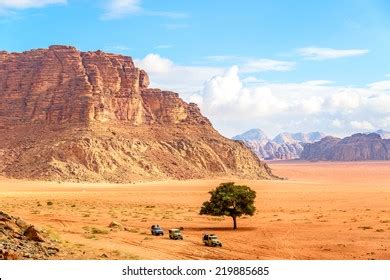 1 021 Wadi Rum Spring Images Stock Photos 3D Objects Vectors