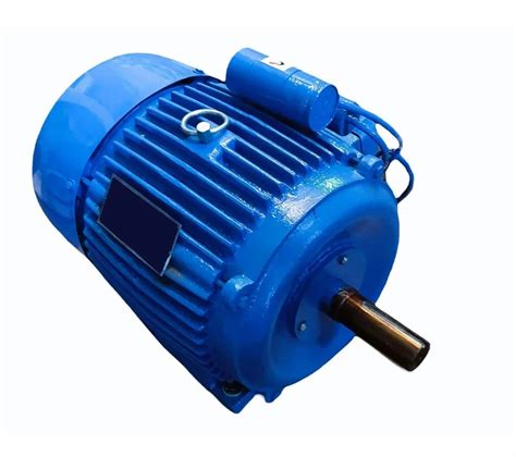 0 5 HP 2 Pole Induction Motor 0 10 KW 750 Rpm At 9000 In Agra ID