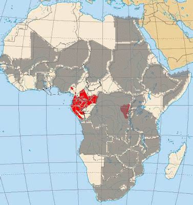 Mountain Gorilla: Mountain Gorilla Habitat Map